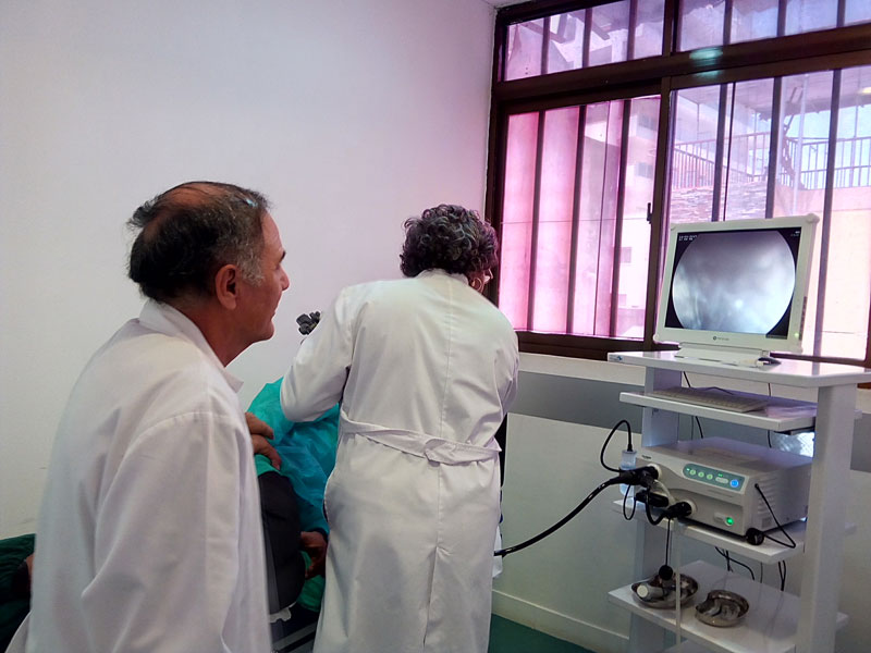 endoscopia